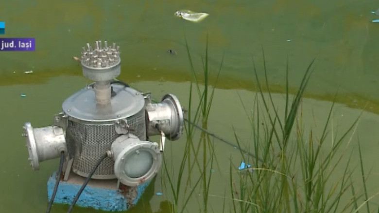 IASI. Investitie inutila din banii statului. Un parc de 200.000 de euro a fost construit pe un teren inundabil  Imagine