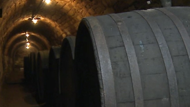 Iasi. Labirintul secret, cu sute de sticle de vin  Imagine