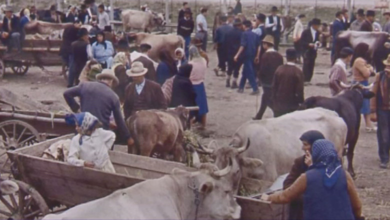 Iasiul, intors in timp. Targurile de altadata au fost reinviate la Palatul Culturii Imagine