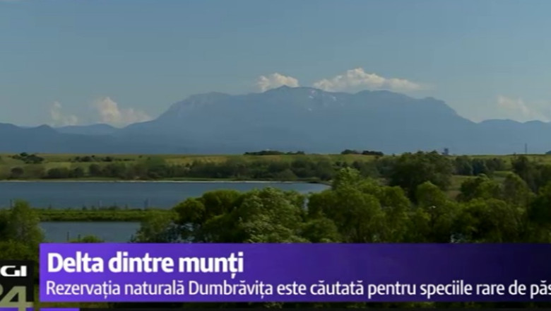 Idee de petrecere a weekendului. Dumbravita, delta din Carpati Imagine