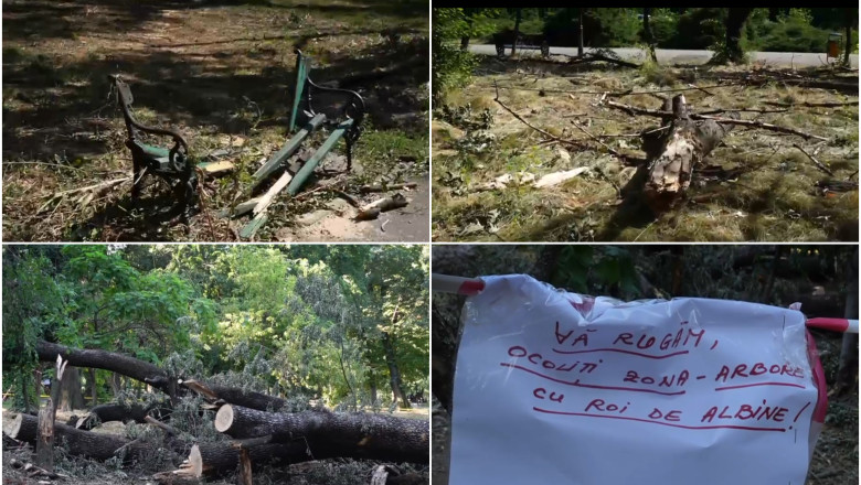 Imagini dezolante in marile parcuri ale Bucurestiului: Copaci cazuti si amenajari distruse dupa furtuna. Primaria e de negasit Imagine