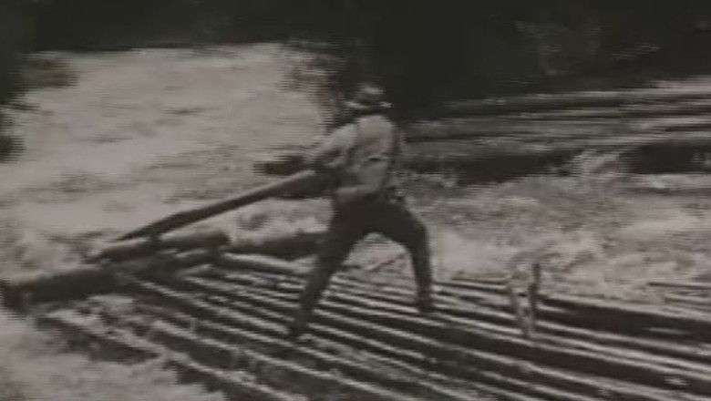 Imagini document. 1948. Nationalizarea padurilor si a fabricilor de cherestea Imagine