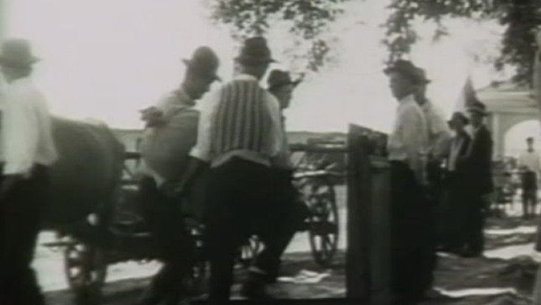 Imagini document. 1951: Flamanzii intra in colectiv si se satura Imagine