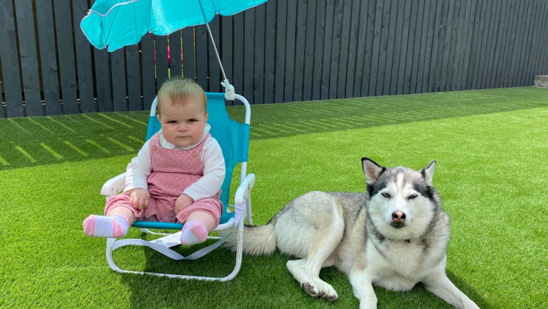 Imagini virale cu Myla si cea mai buna prietena, Kaya, o catelusa husky. Cum s-a nascut relatia lor speciala Imagine