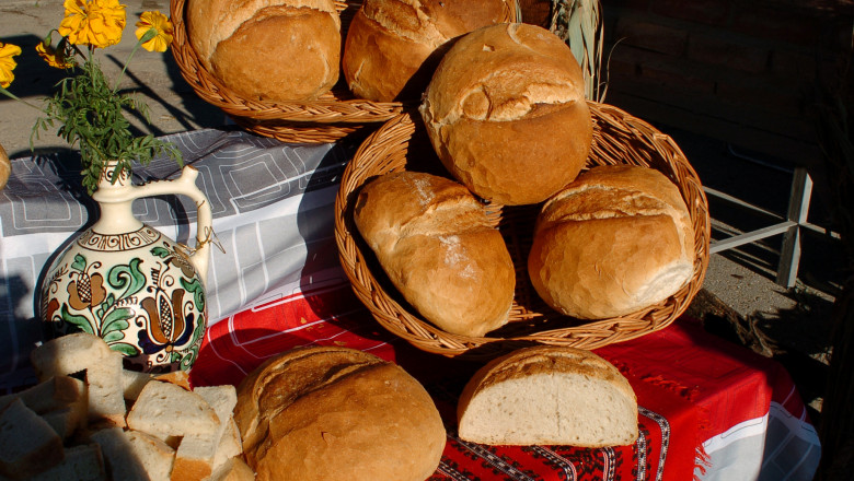 IMPARTIAL. Ce spun economistii despre incercarea de reducere a evaziunii fiscale prin micsorarea TVA la paine Imagine