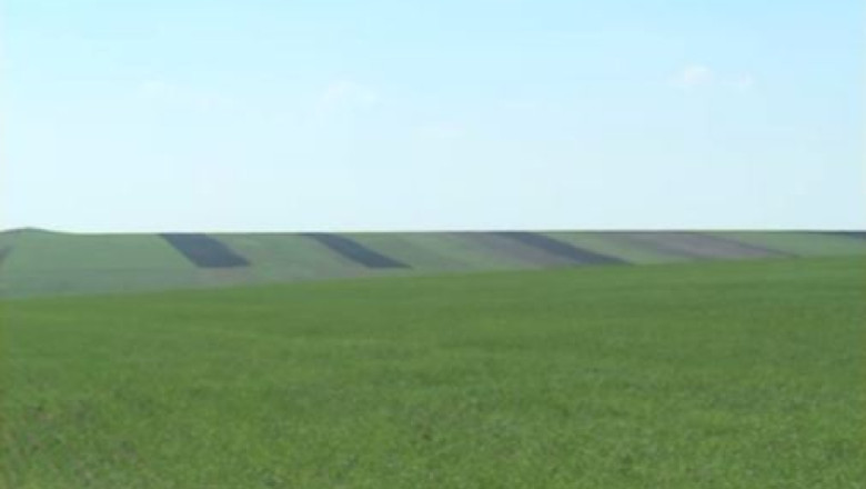 Impozitul forfetar va fi retinut din subventia la hectar Imagine