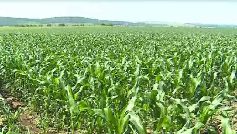 Impozitul in agricultura s-a dovedit a fi un esec. Agricultorii au "omis" sa-si declare veniturile Imagine