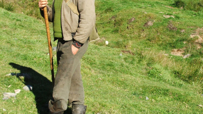 In agricultura, ploua cu dari. Taxele si impozitele pentru fermieri au crescut Imagine