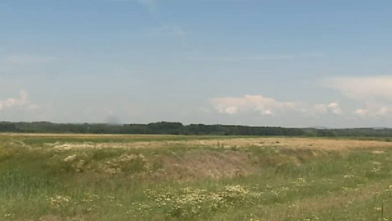 In asteptarea strainilor, cresc preturile terenurilor agricole Imagine