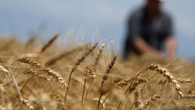 In Bihor sunt tot atatia agricultori cat in Germania. Statul acorda subventii pentru comasarea terenurilor Imagine