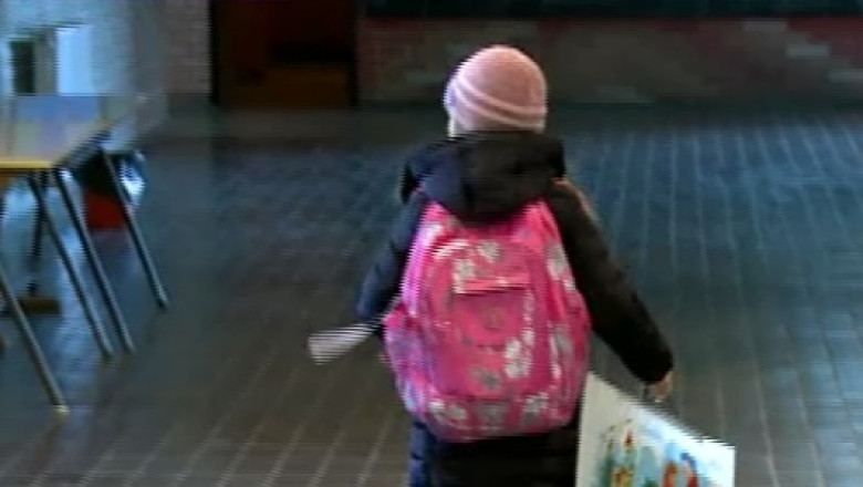 In cinci scoli din Branicevo, copiii romanilor din Serbia pot invata limba materna Imagine