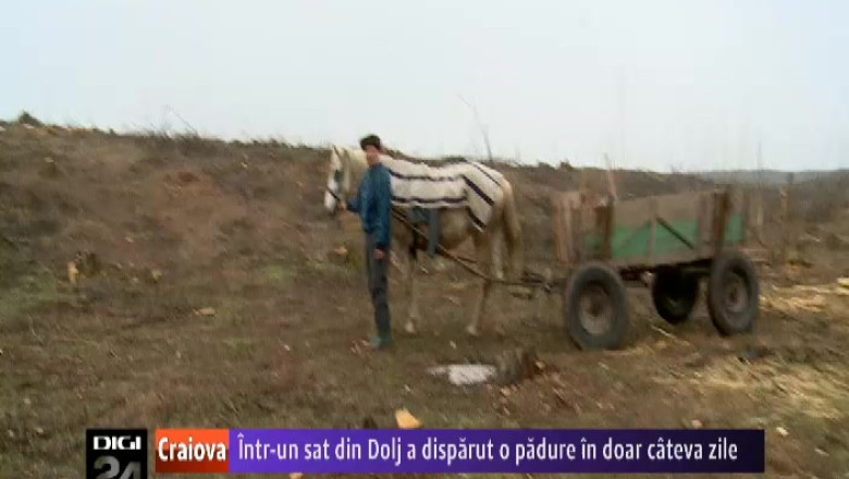 In Dolj, o padure a disparut in doar cateva zile Imagine