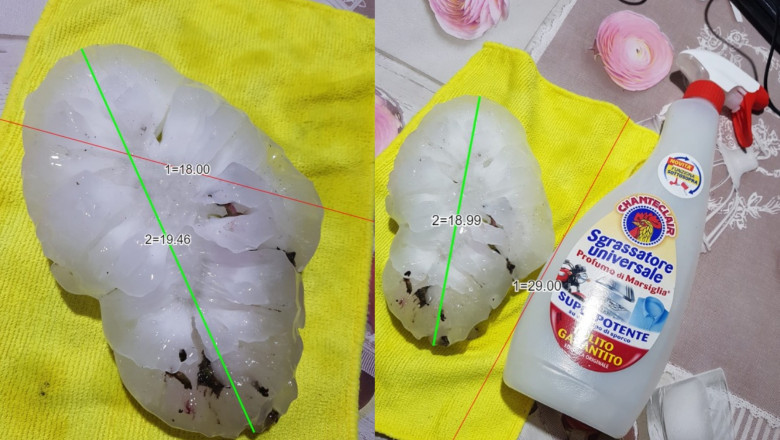 In Italia a cazut grindina record de 19 centimetri Imagine