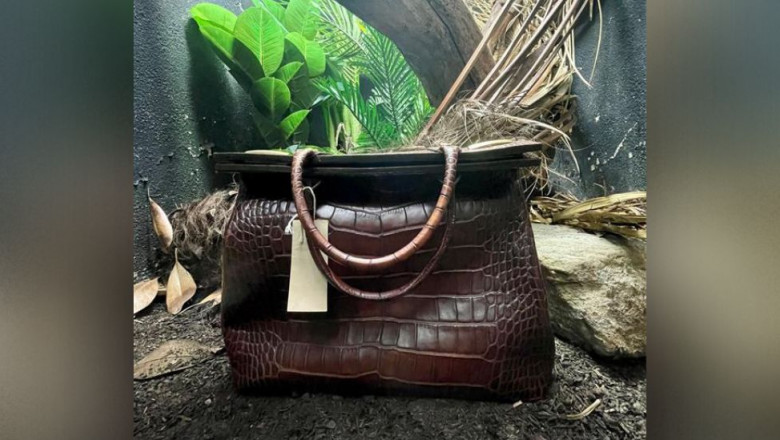 In locul crocodilului, la London Zoo a fost pusa o geanta din piele de crocodil. Povestea din spatele imaginii virale Imagine