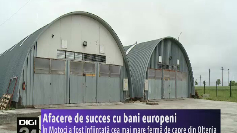 In Motoci a fost infiintata cea mai mare ferma de capre din Oltenia Imagine