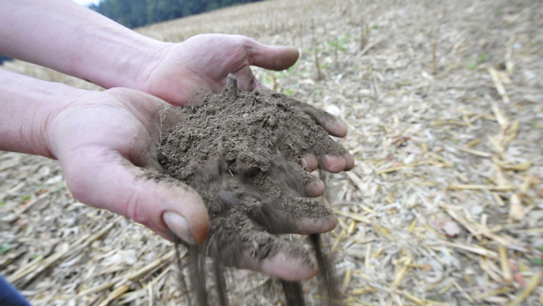 In plina lupta cu schimbarile climatice, Romania nu are o strategie nationala pentru combaterea desertificarii terenurilor Imagine