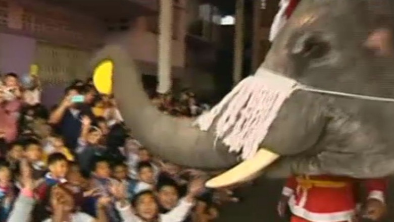 In Thailanda, Mos Craciun a inlocuit renii cu elefanti Imagine