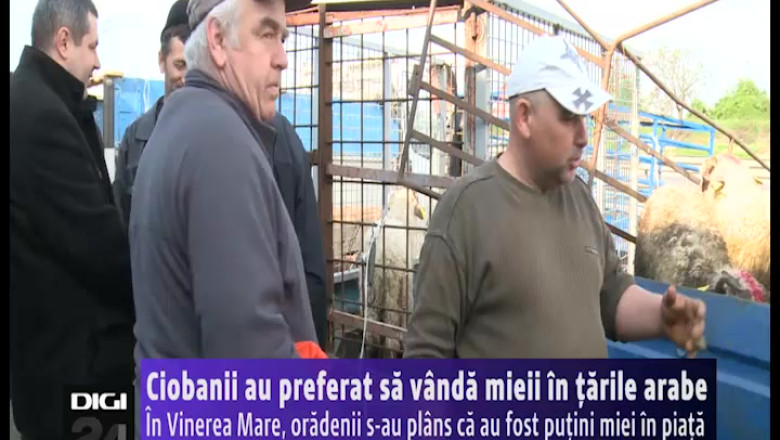 In Vinerea Mare, oradenii s-au plans ca au fost putini miei in piata. Ciobanii au preferat sa-i vanda in tarile arabe Imagine