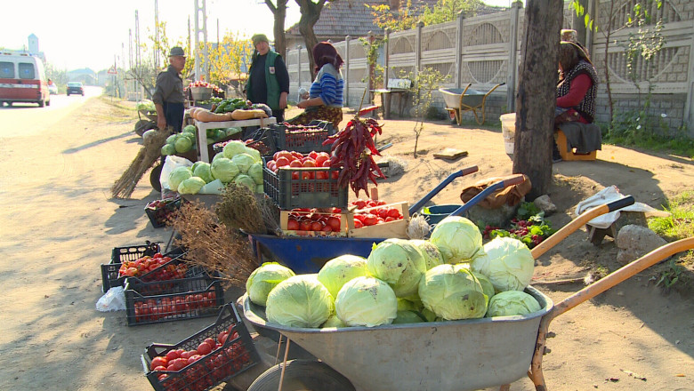 Incasari mici la impozitul pe activitati agricole in Dolj Imagine