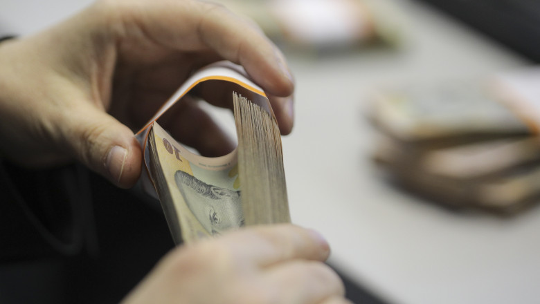 Incasarile Guvernului, mai mici cu 23 de miliarde de lei decat au fost estimate la inceputul anului Imagine