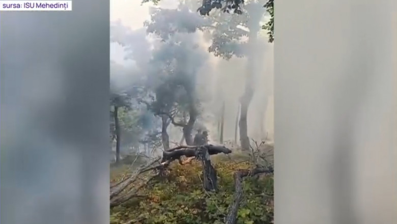 Incendii de padure in Mehedinti si Valcea. Doua elicoptere Black Hawk au fost trimise in ajutorul pompierilor Imagine