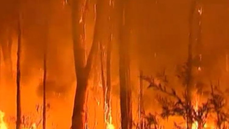 Incendii devastatoare in Australia. Un mort si 100 de case distruse in apropiere de Sydney Imagine