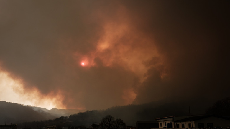 Incendii devastatoare in Coreea de Sud: Cel putin patru persoane au murit, dintre care trei pompieri Imagine
