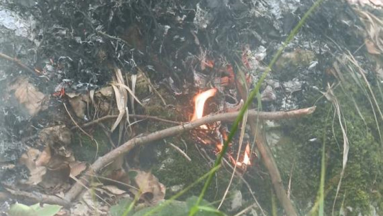 Incendii in Australia. Zeci de hectare de padure au ars Imagine