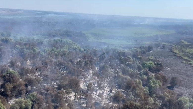 Incendii in Delta Dunarii: Sunt afectate aproape 70 de hectare de padure si vegetatie. Un alt foc a izbucnit in apropiere de Plauru Imagine