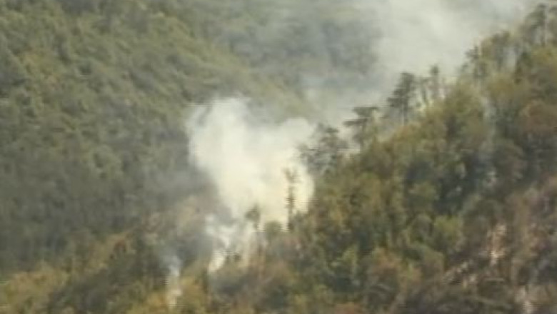 Incendii in SUA. Au ars sute de hectare de vegetatie si zeci de case Imagine