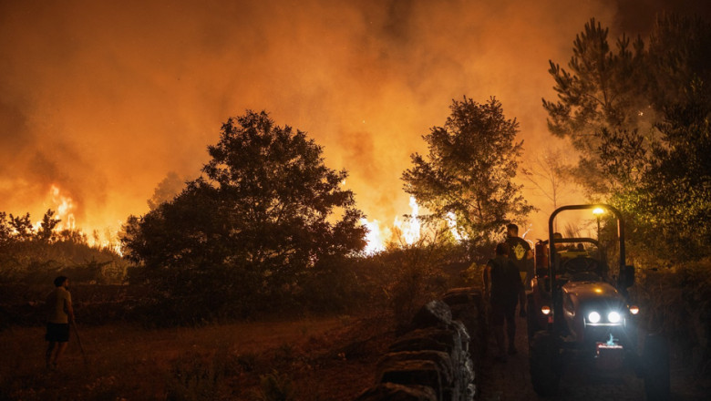 Incendiile de padure au devastat o suprafata-record in centrul Portugaliei Imagine
