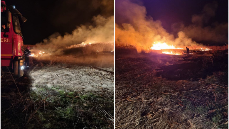 Incendiile de vegetatie uscata iau amploare in Tulcea. 110 hectare au ars sambata in Delta Dunarii. Pompierii au intervenit Imagine