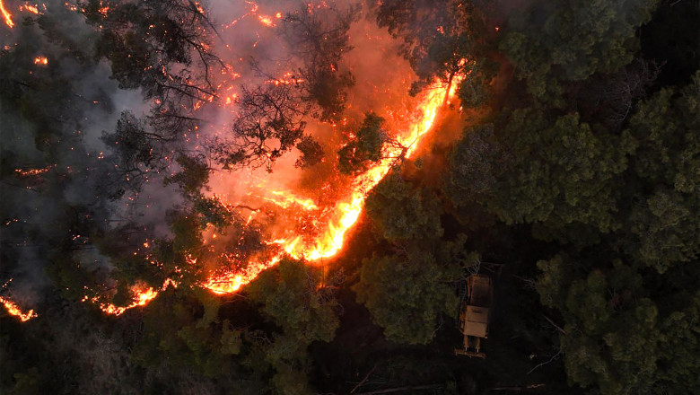 Incendiile devastatoare au distrus 3% din padurile Siriei. Damascul a cerut ajutorul UE pentru a opri focarele Imagine