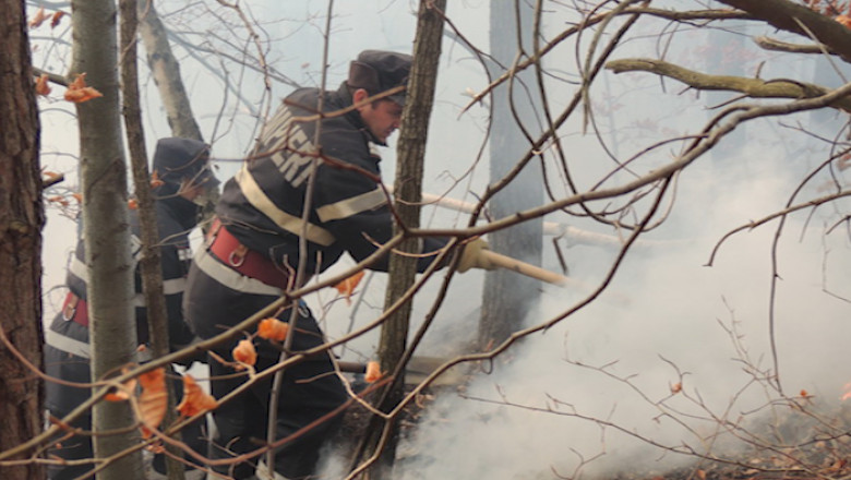 Incendiu de padure in judetul Hunedoara Imagine