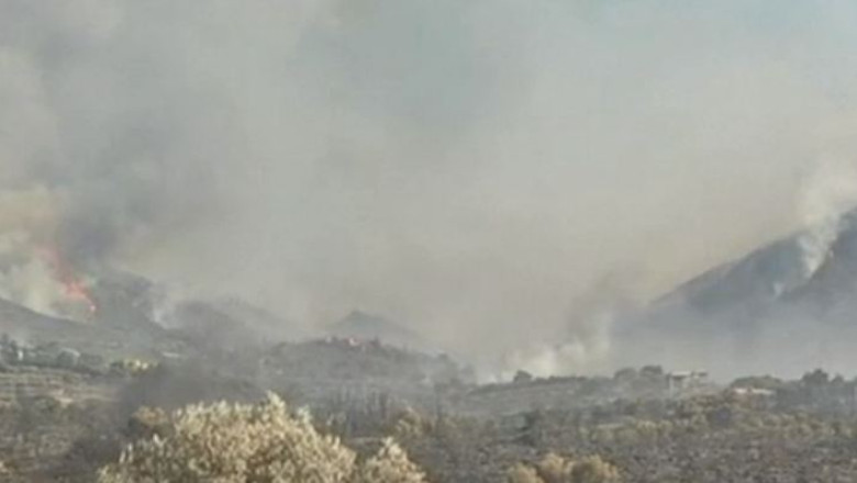 Incendiu de padure langa Atena. 193 de copii au fost evacuati dintr-o tabara Imagine