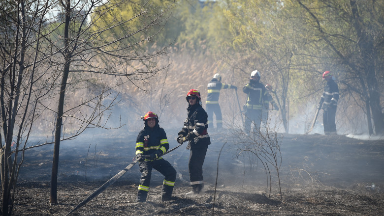 Incendiu de proportii in Mehedinti: sute de hectare au fost mistuite de flacari. Autoritatile intervin si cu doua aeronave Spartan Imagine