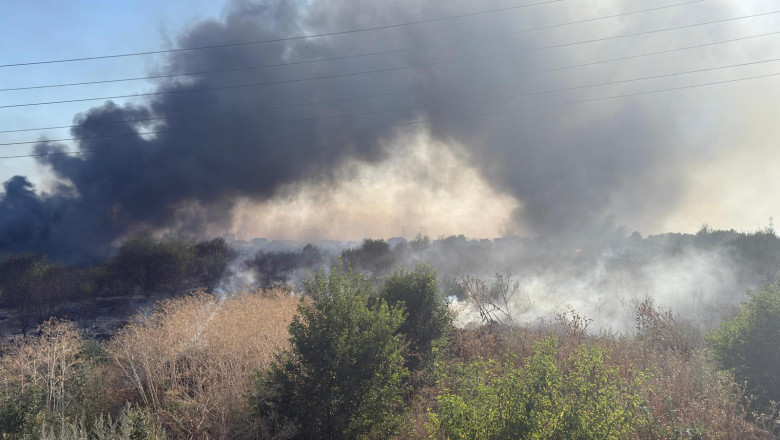 Incendiu de vegetatie din Ilfov. Au fost evacuate zeci de persoane, existand pericolul de propagare la case Imagine