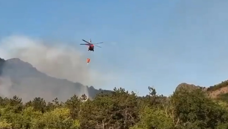 Incendiu de vegetatie in judetul Tulcea. Flacari pe 6 hectare in zona Chilia Veche. Elicopter Black Hawk, trimis la interventie Imagine