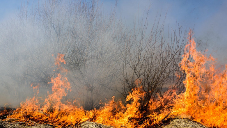 Incendiu de vegetatie in zona Marelui Canion din SUA. Mai multe cladiri au ars din temelii Imagine
