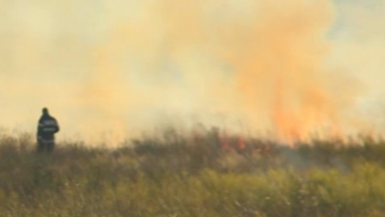 Incendiu de vegetatie la marginea Craiovei Imagine