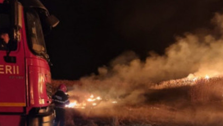 Incendiu de vegetatie uscata in Moinesti. Flacarile au cuprins o suprafata de aproximativ doua hectare Imagine