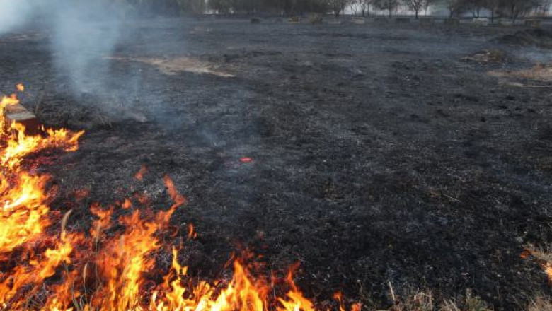 Incendiu in judetul Iasi: Au ars zece hectare de teren acoperit cu vegetatie, inclusiv vita de vie Imagine