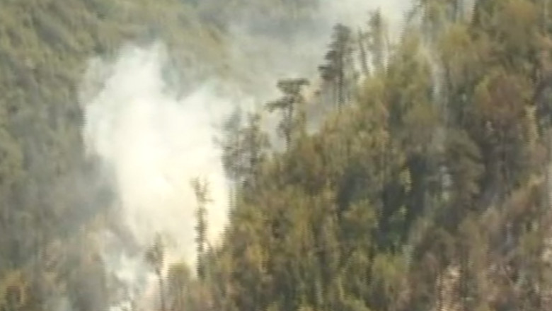 Incendiu in Parcul national Domogled. 400 de pompieri lupta cu flacarile Imagine