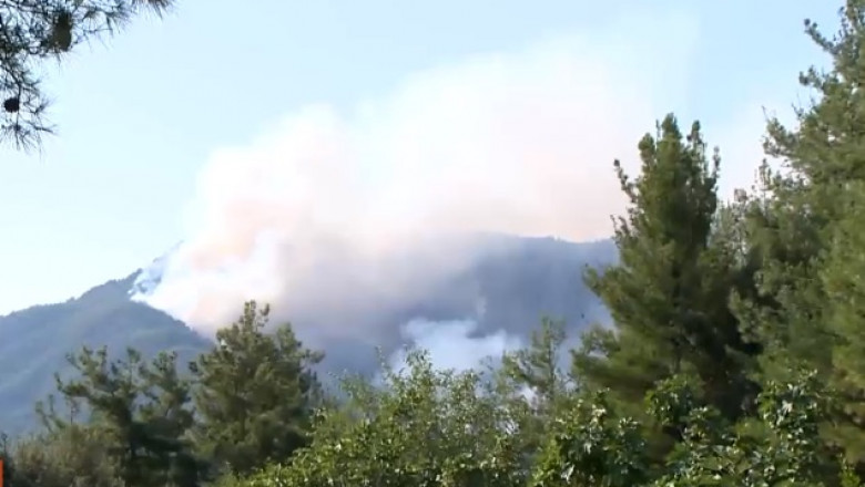 Incendiu in Thassos. MAE: Nu am primit la ambasada cereri de asistenta din partea romanilor Imagine