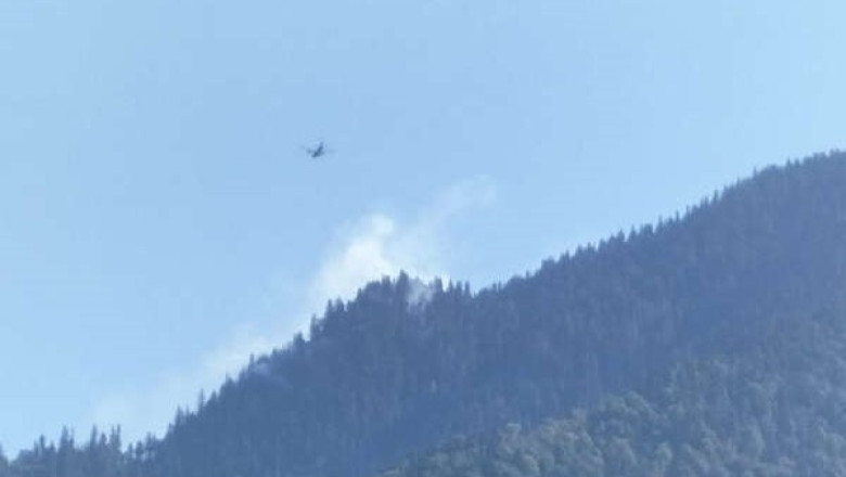 Incendiu intr-o padure din Muntii Maramuresului. Un avion militar intervine pentru a stinge flacarile Imagine