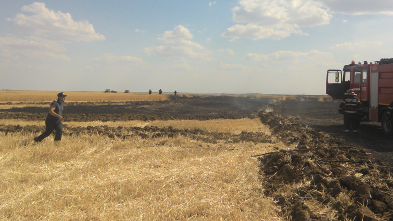 Incendiu pe un camp cu grau de langa Oradea. 50 de hectare au fost afectate Imagine