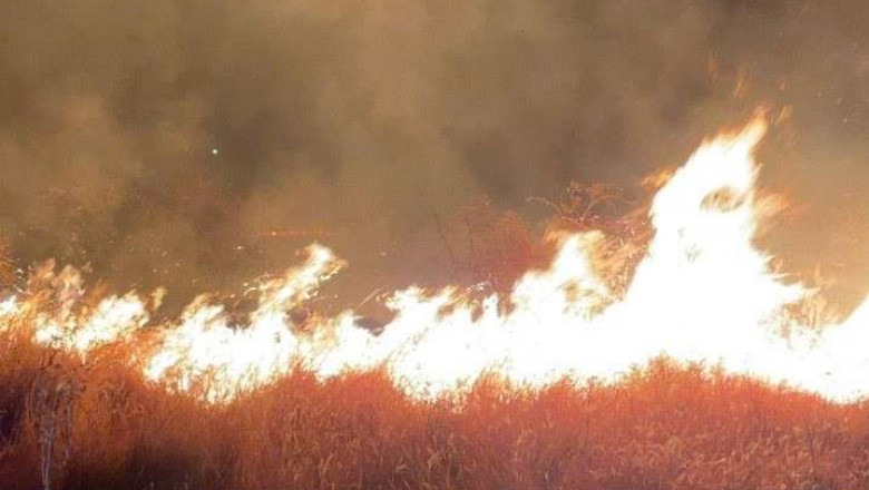 Incendiu puternic de vegetatie in apropiere de Ploiesti. 80 de hectare au fost mistuite. Zeci de pompieri mobilizati Imagine