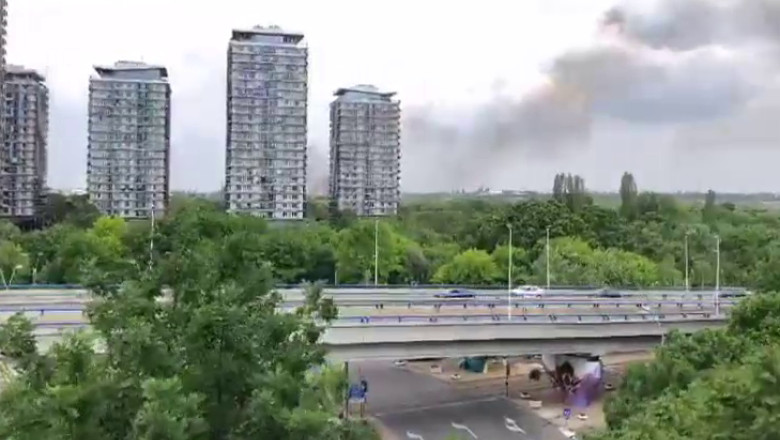 Incendiu puternic de vegetatie in Delta Vacaresti. Flacarile s-au extins rapid Imagine