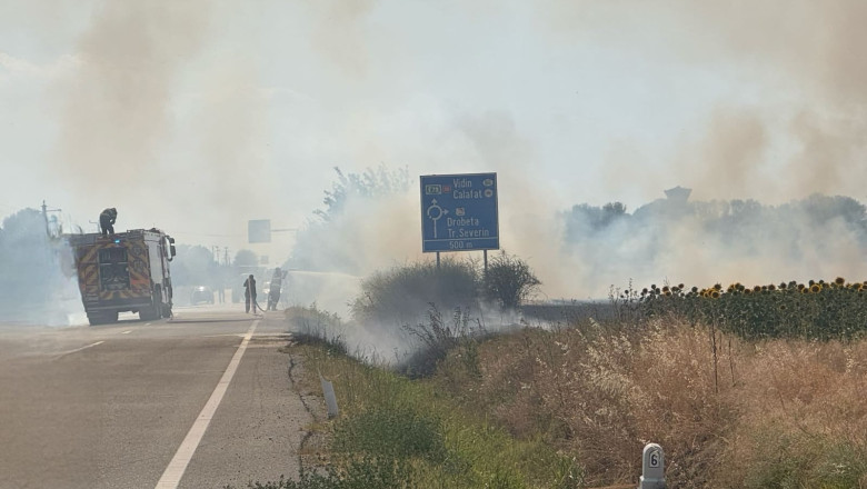 Incendiu puternic de vegetatie la Maglavit, in Dolj, pe o suprafata de 70 – 80 hectare. Traficul rutier a fost deviat Imagine