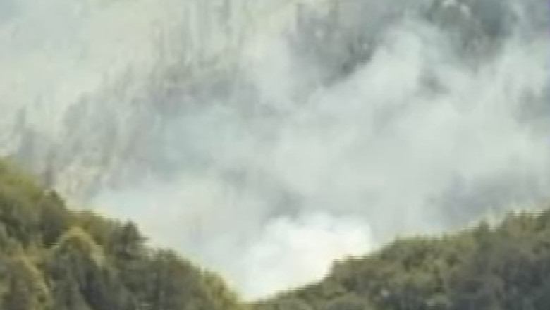 Incendiu puternic in muntii Maramuresului. Focul a afectat peste 200 de hectare de pasune Imagine